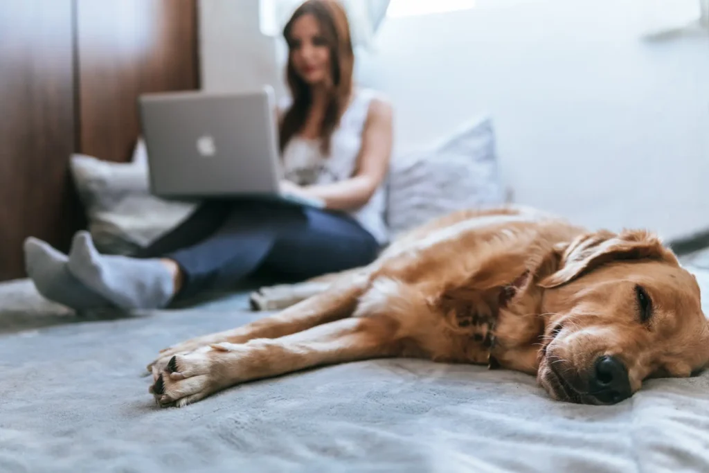 Woman with a laptop and a dog sitting on couch earning money with a blog